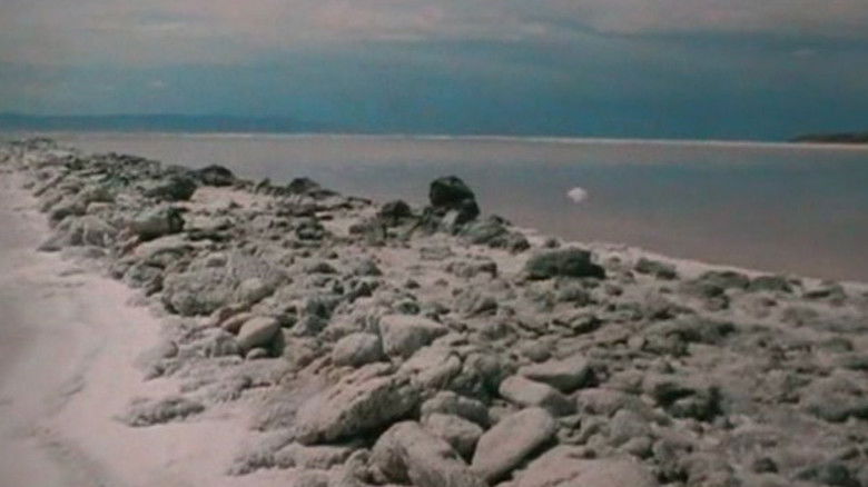 кадр из фильма Afternoon Nap