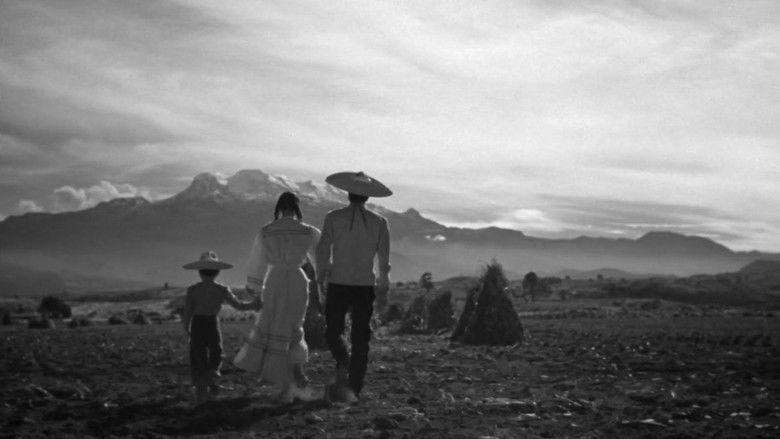 кадр из фильма Мексиканская девушка