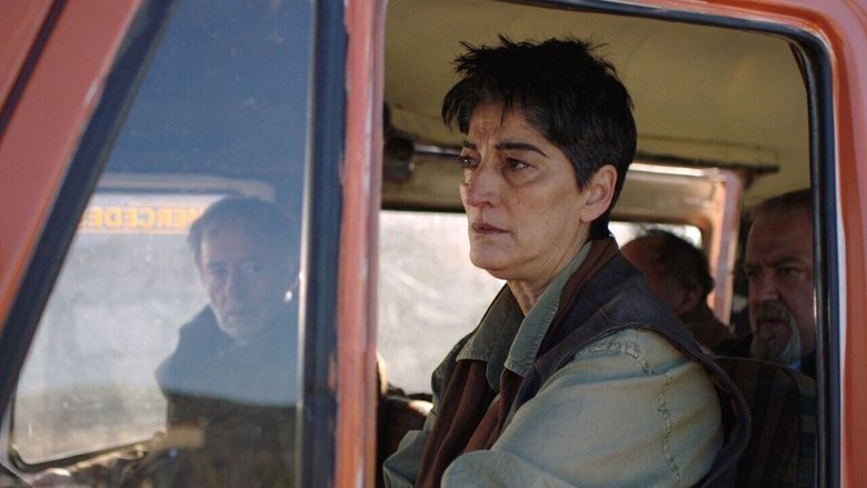 кадр из фильма Burri i shtëpisë