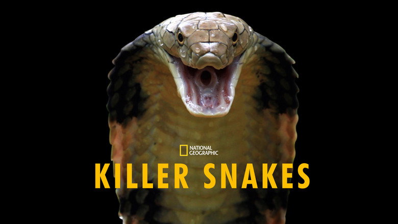 кадр из фильма Killer Snakes