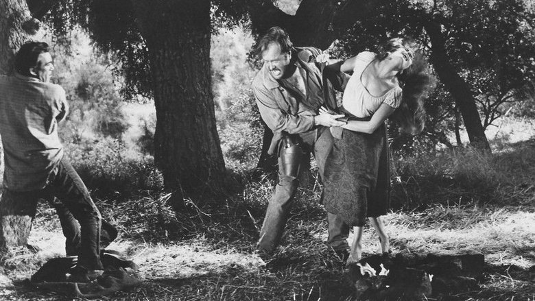 Обратный путь