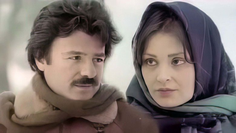 кадр из фильма Her Şeyim Sensin