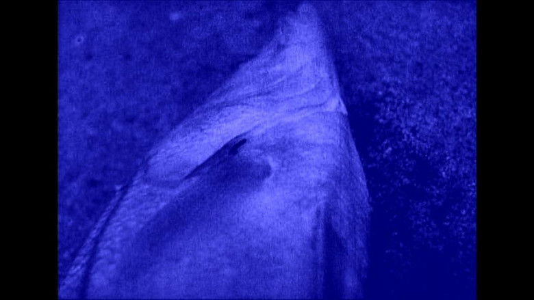 кадр из фильма Corpo preto