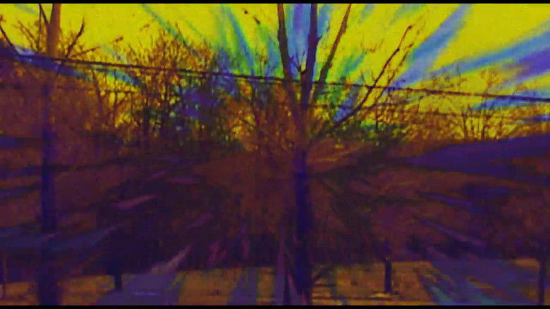 кадр из фильма Joose Psychedelia Test