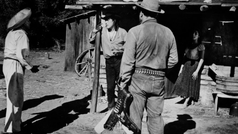 кадр из фильма Обратный путь