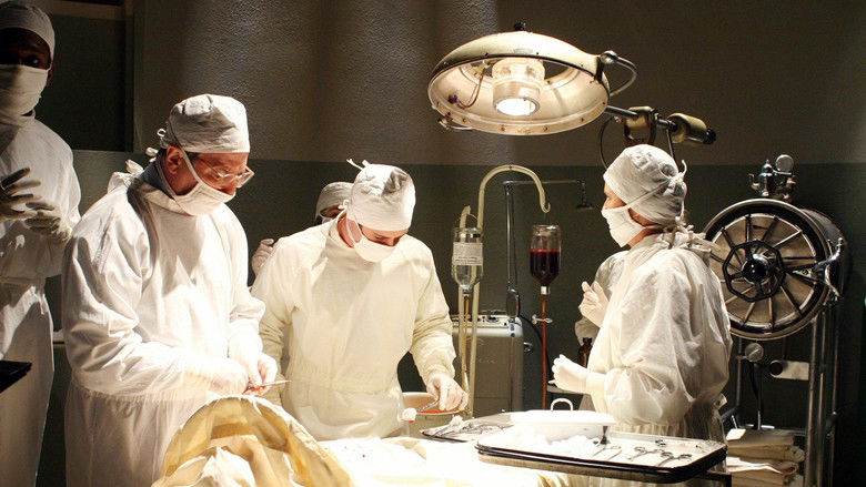 кадр из фильма Творение Господне