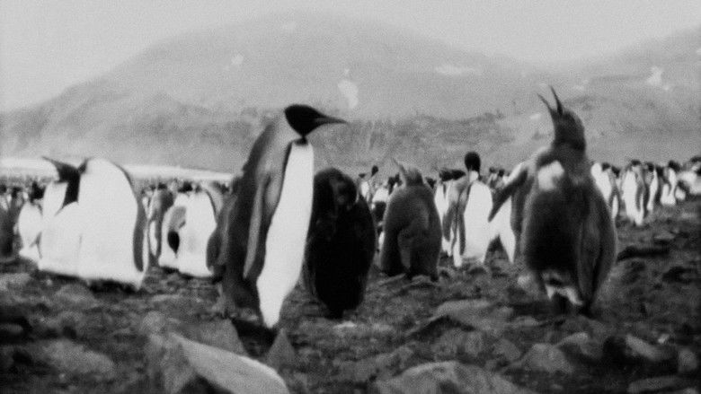 кадр из фильма Конец лета