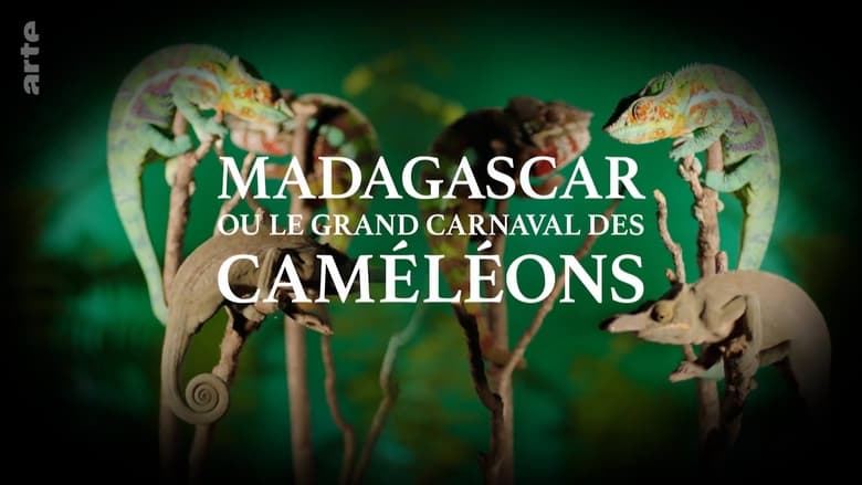 кадр из фильма Madagascar or the Great Carnival of the Chameleons