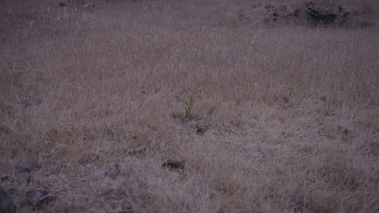 кадр из фильма Künt-ü Kenz