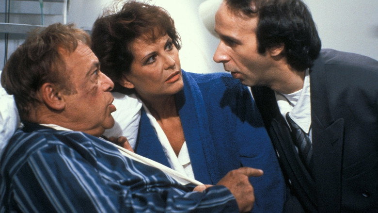 кадр из фильма Сын Розовой пантеры