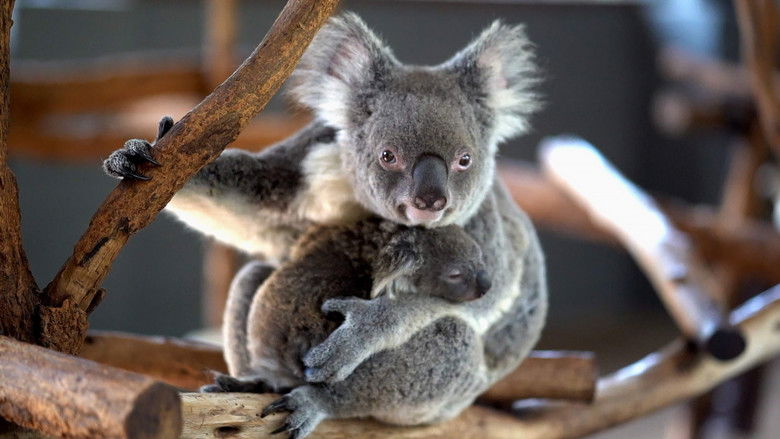 кадр из фильма Спасти планету