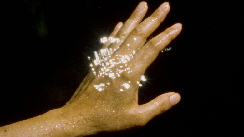 кадр из фильма Servidumbres de la luz