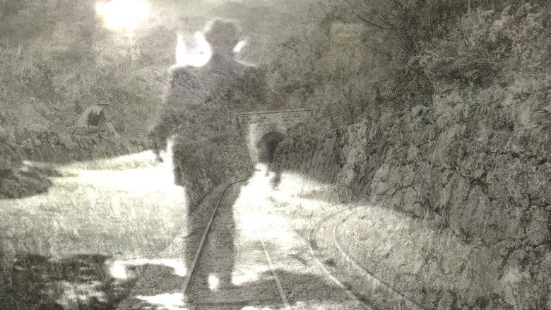 кадр из фильма Diálogo Bulbul