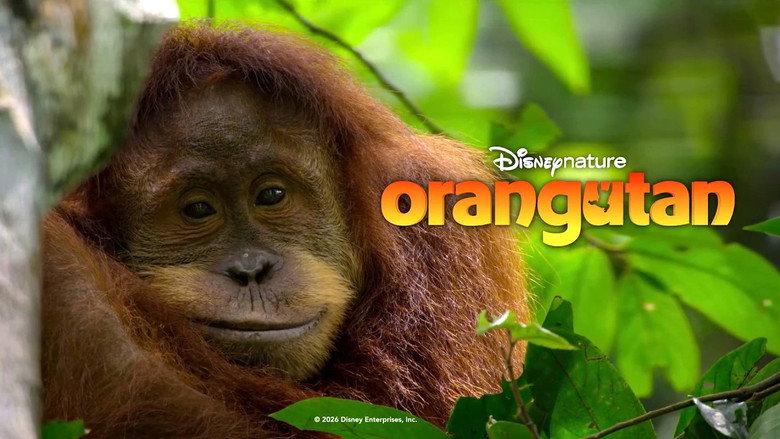 кадр из фильма Orangutan