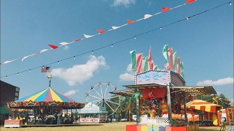 кадр из фильма Реальная история мальчика-волчонка