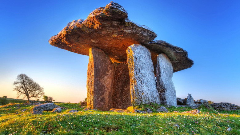 кадр из фильма Wild Ireland: Kingdom of Stone