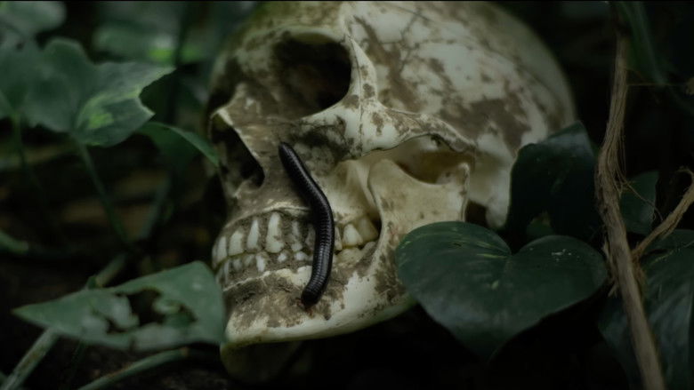 кадр из фильма Sambhavam