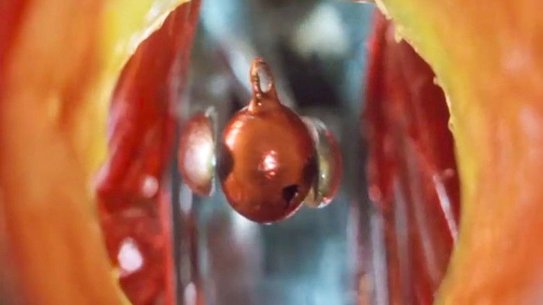 кадр из фильма Дневник медсестры: Полуденный зверь