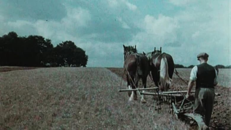 кадр из фильма English Harvest