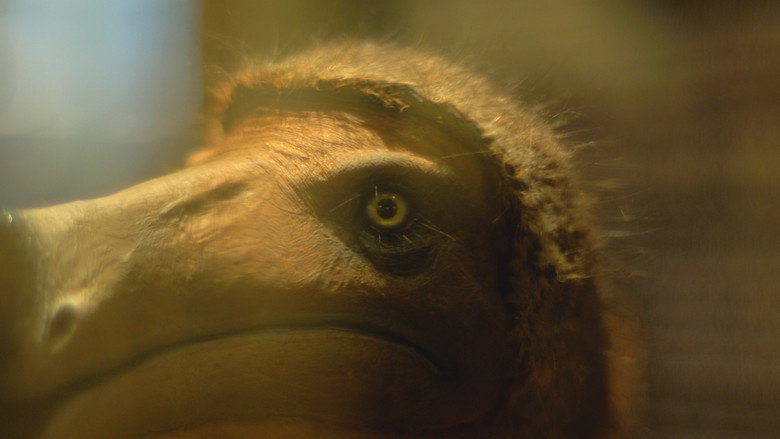 кадр из фильма Little, Big, and Far