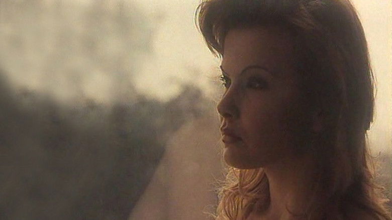 кадр из фильма Fuga di mezzanotte