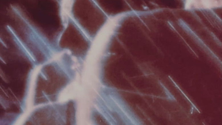 кадр из фильма Watersmith