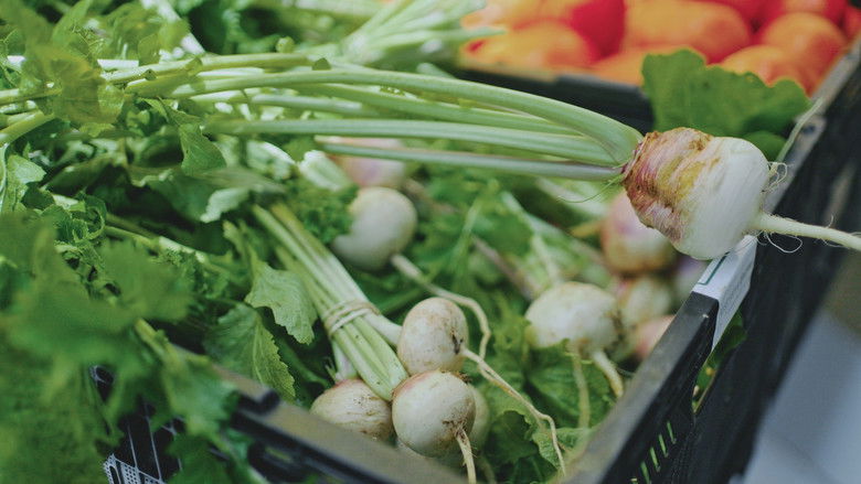 кадр из фильма Grow a Better Dallas