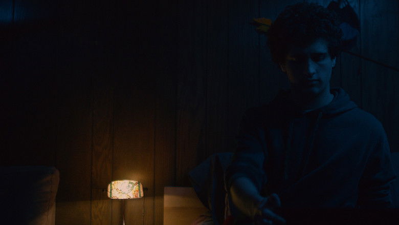 кадр из фильма THE CRAWLSPACE