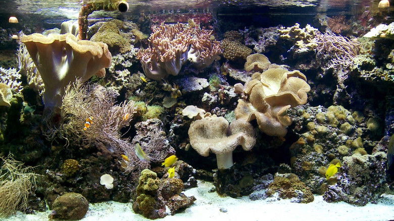 кадр из фильма HDTV Lounge