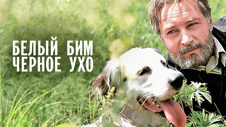 кадр из фильма Белый Бим Чёрное ухо