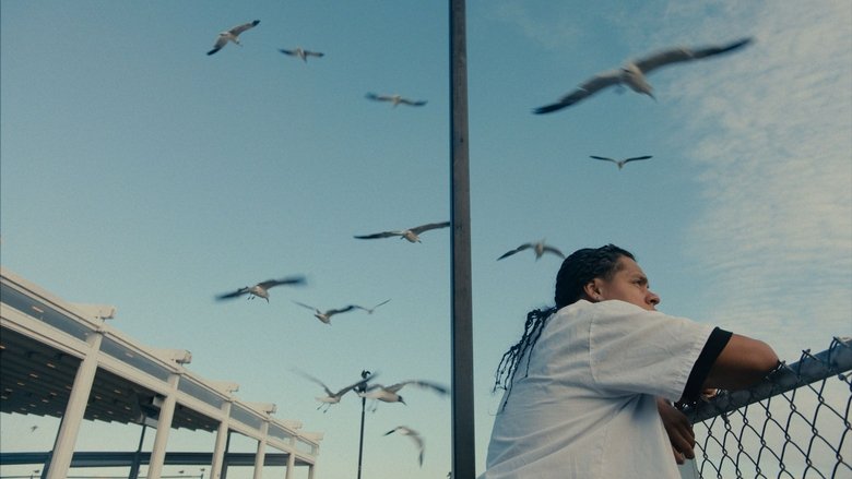 кадр из фильма Mad Bills to Pay (or Destiny, dile que no soy malo)