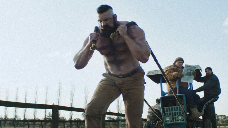 кадр из фильма Уличный боец