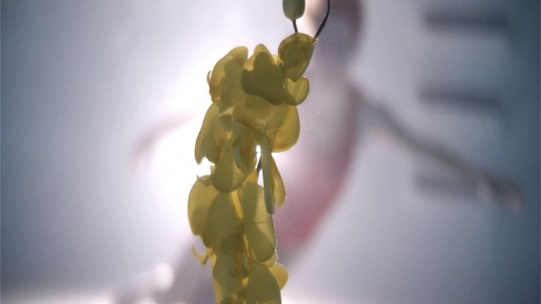 кадр из фильма Примесь