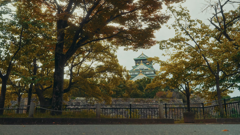 кадр из фильма Streets of Japan