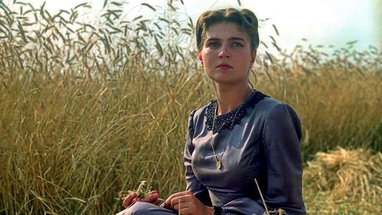 кадр из фильма Nad Niemnem