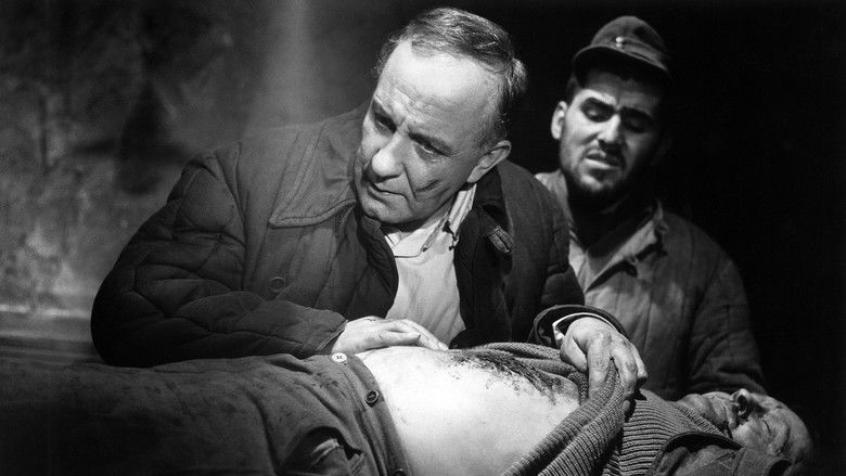 кадр из фильма Der Arzt von Stalingrad