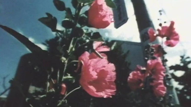 кадр из фильма Motion Photograffiti