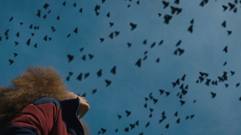 кадр из фильма Раненая птичка