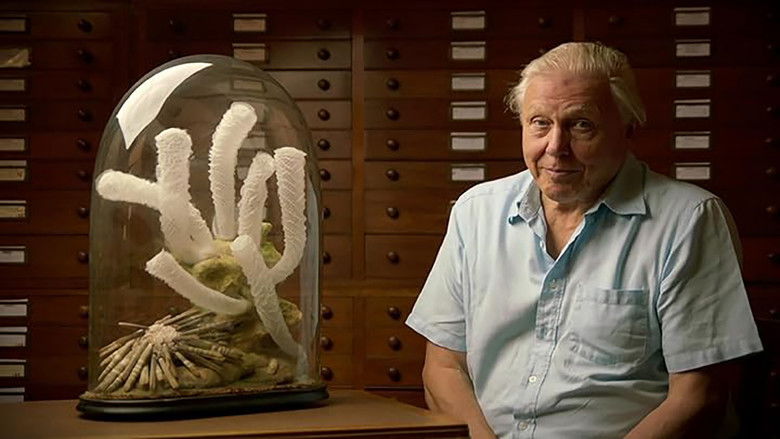 кадр из фильма Attenborough's Ark
