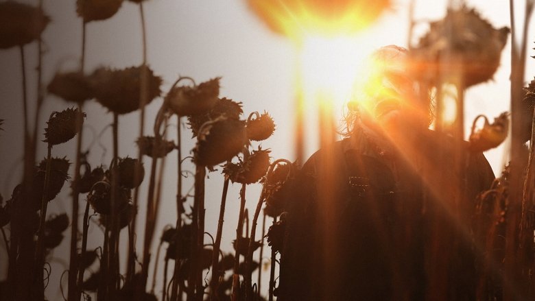 кадр из фильма Техасская резня бензопилой