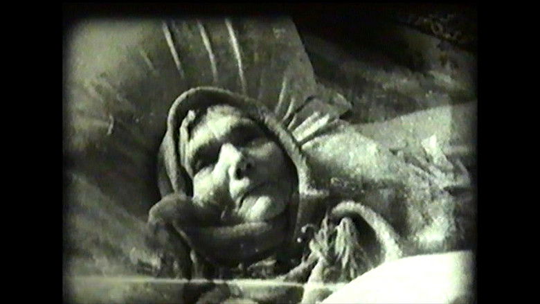 кадр из фильма Зимы не будет