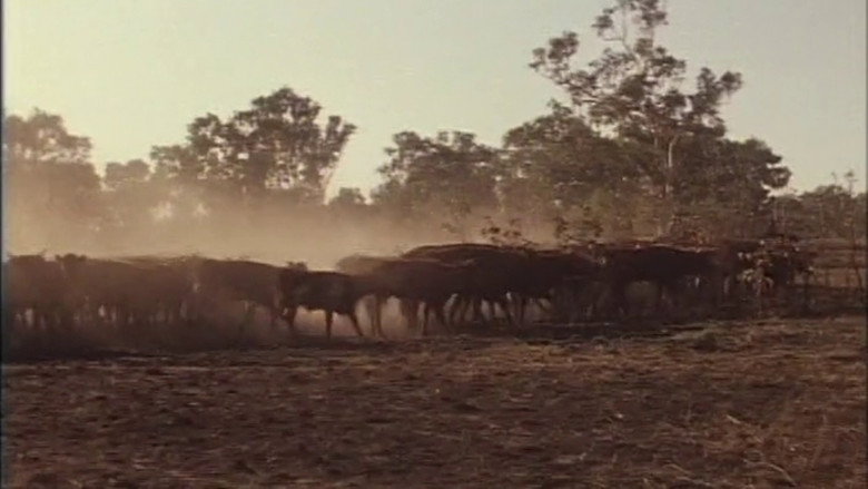 кадр из фильма Over The Range