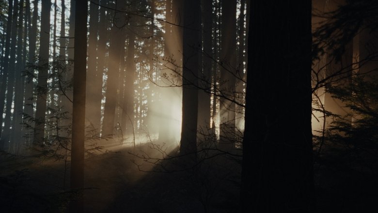 кадр из фильма Крипер