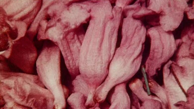 кадр из фильма Bark-Rind