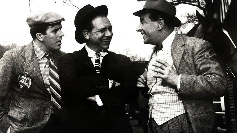 кадр из фильма Dry Rot