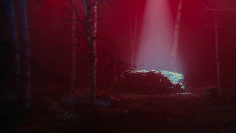 кадр из фильма Yötön Yö