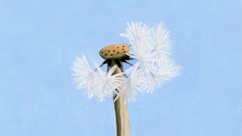 кадр из фильма Дикая жизнь