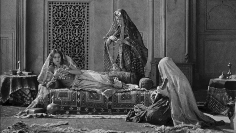 кадр из фильма Шираз