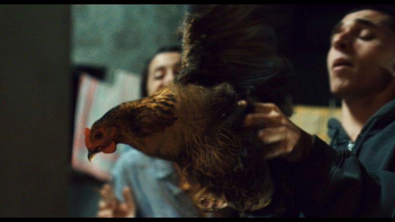 кадр из фильма Laissez-moi danser