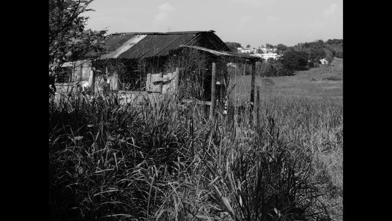 кадр из фильма LUZ QUIERE UN BEIBI